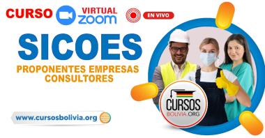 Curso SICOES para empresas Por Zoom